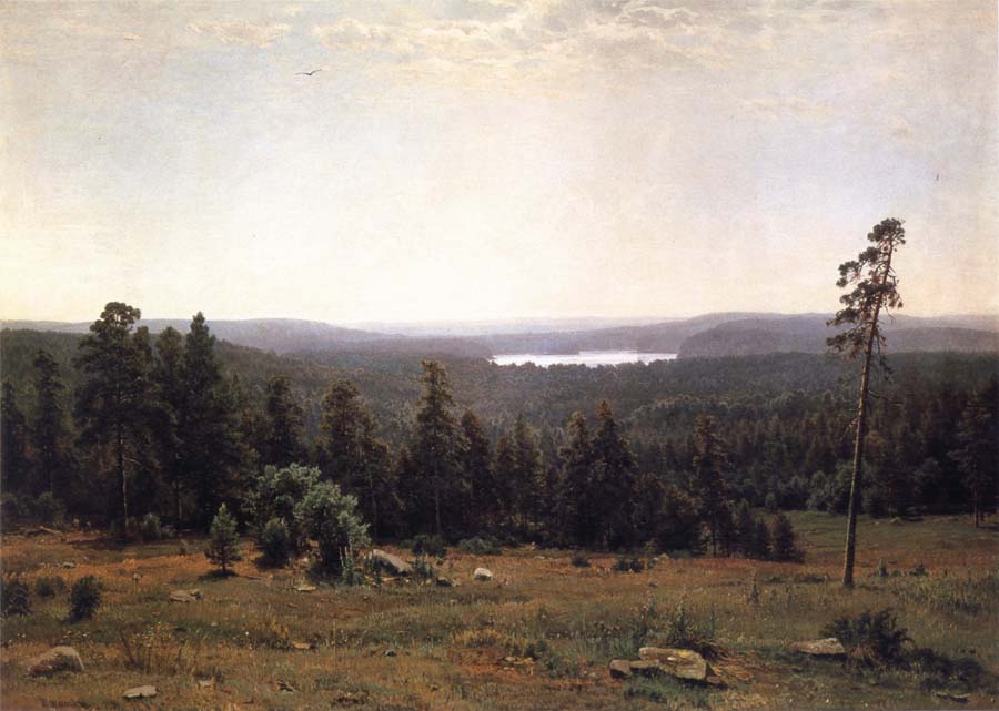 Landscape of the Forest